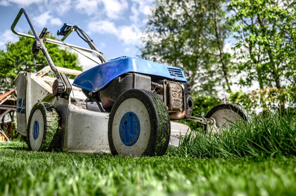 rotary mower