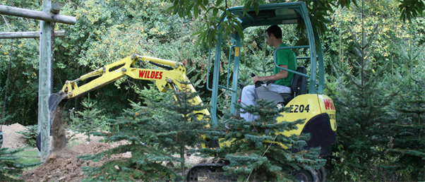 mini excavator uses - forestry